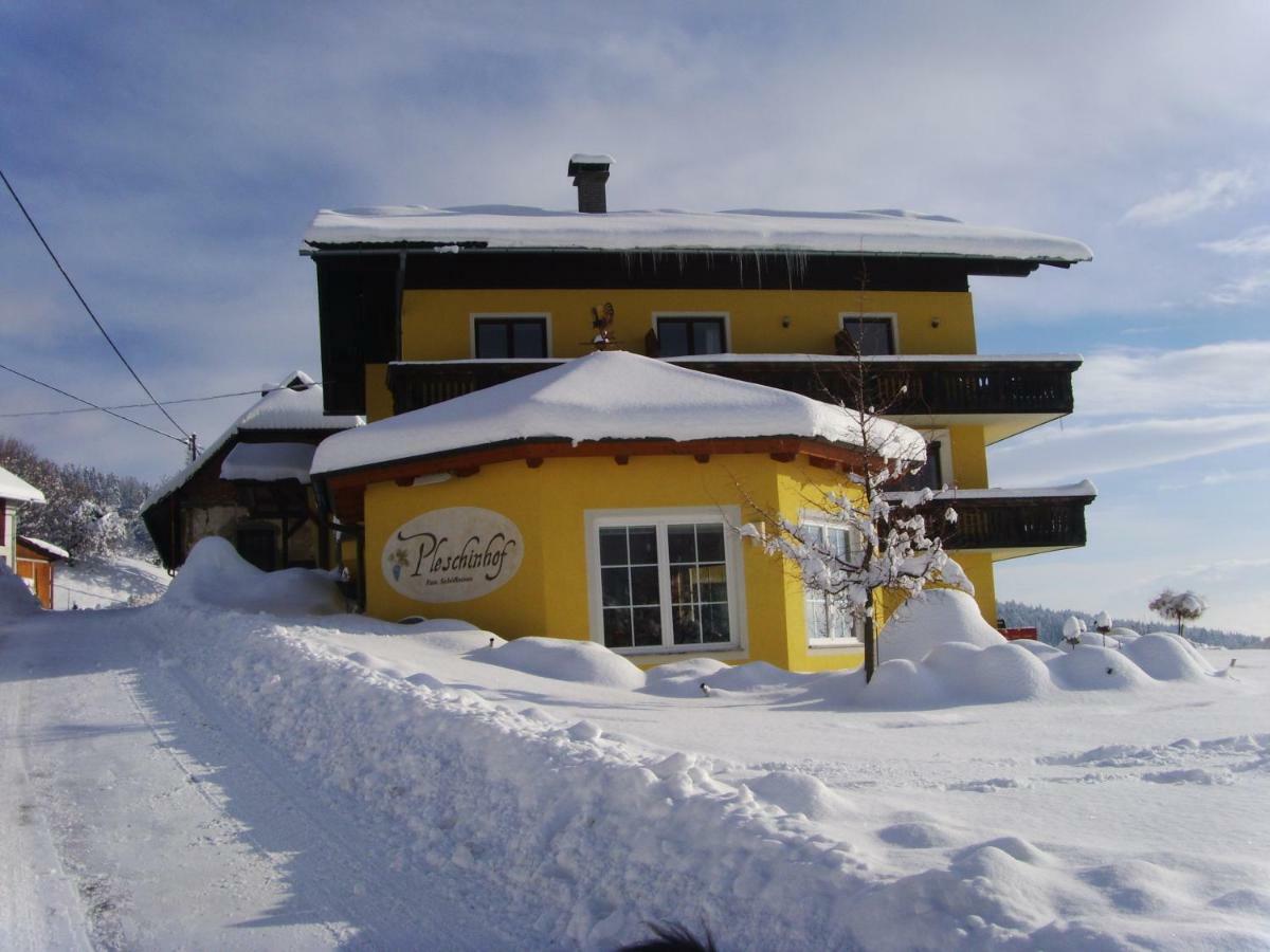Вилла Pleschinhof Фельден-ам-Вёртер-Зе Экстерьер фото