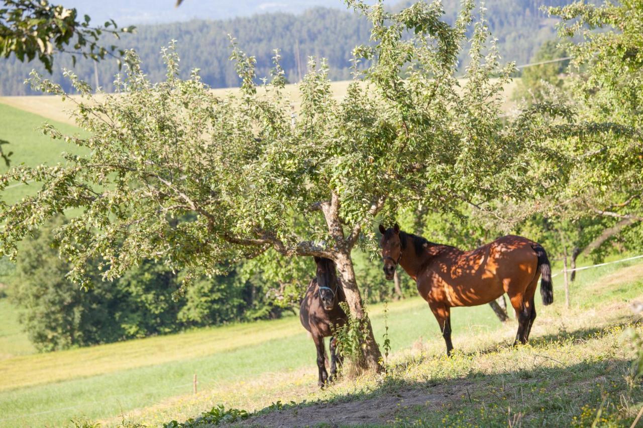 Вилла Pleschinhof Фельден-ам-Вёртер-Зе Экстерьер фото